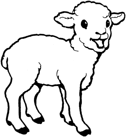 Little Lamb Coloring Page